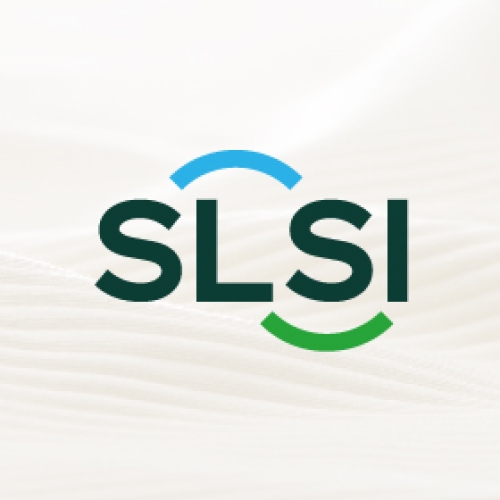 SLSI 赛莱斯